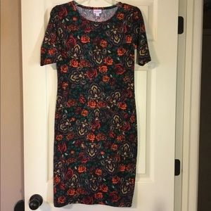 EEEUC Lularoe Rose/Paisley Julia Dress